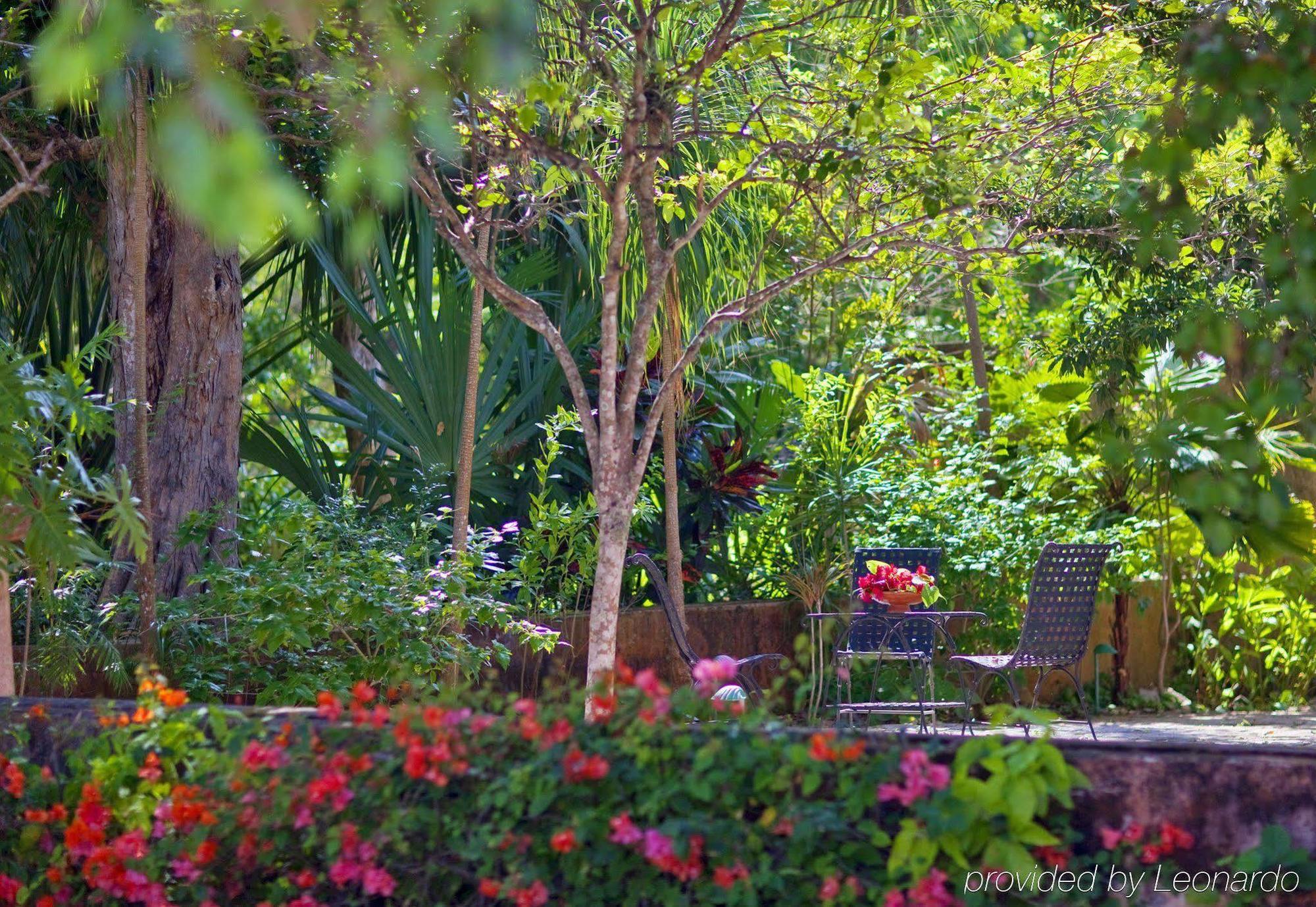 Hacienda Santa Rosa De Lima Hotel Ngoại thất bức ảnh